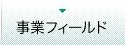 事業フィールド