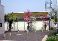 Grass－roofの食堂